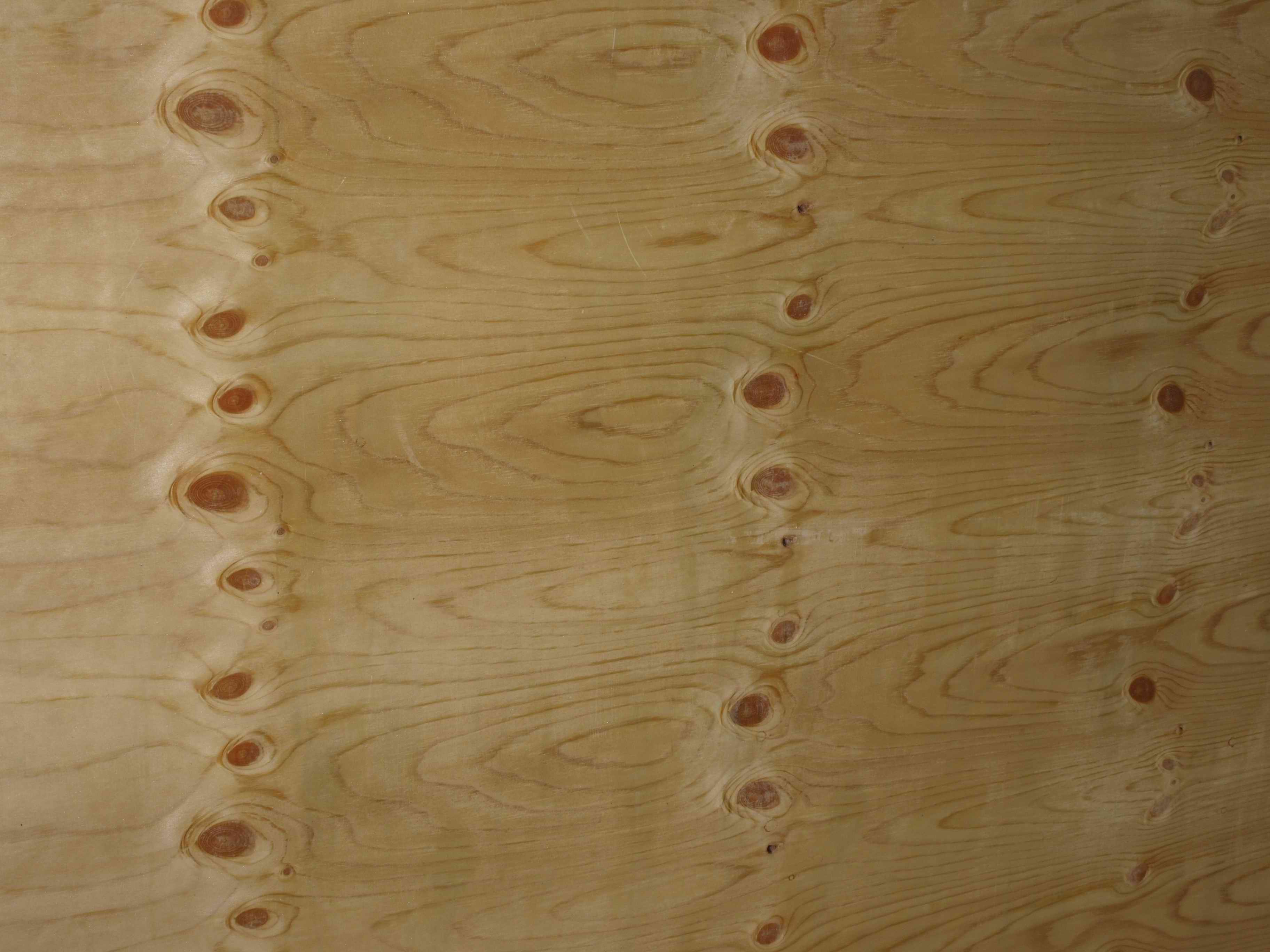 Pine Plywood